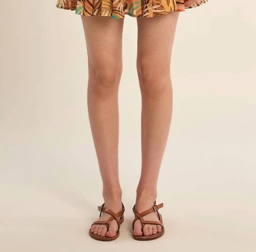 NEW MOLLY BRACKEN havana palm skort in multi